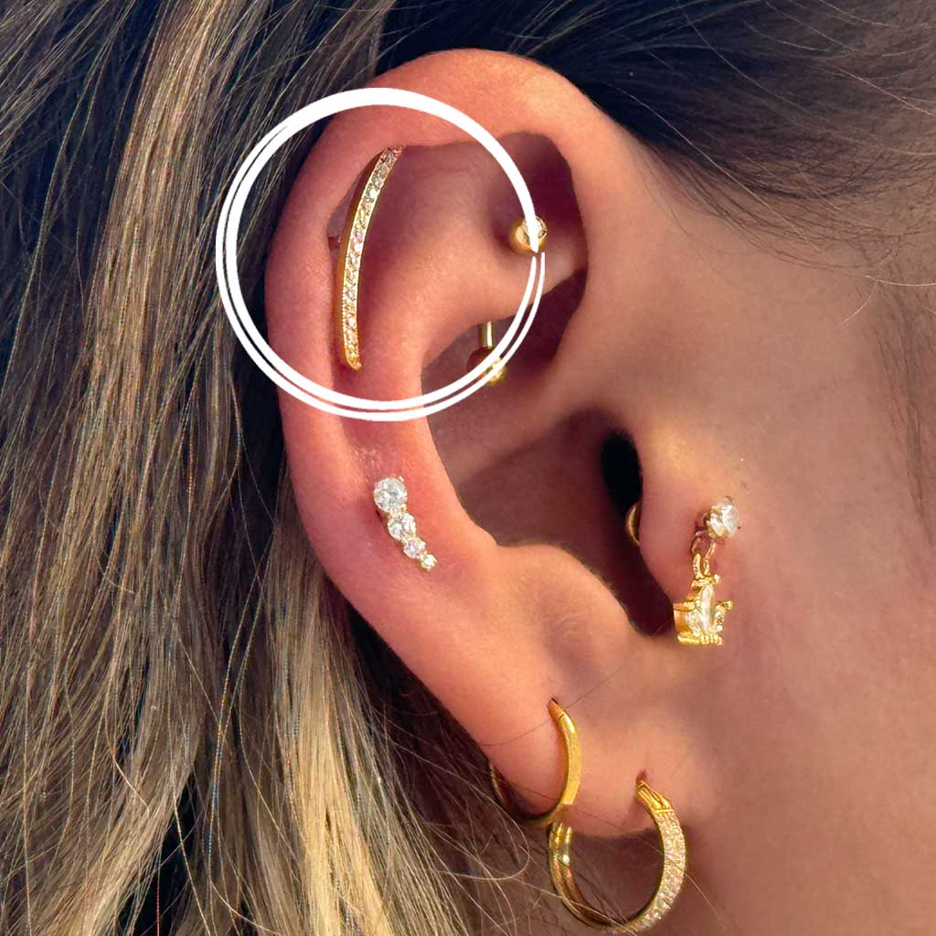 Curved Ohrstecker | Gold - Piercd