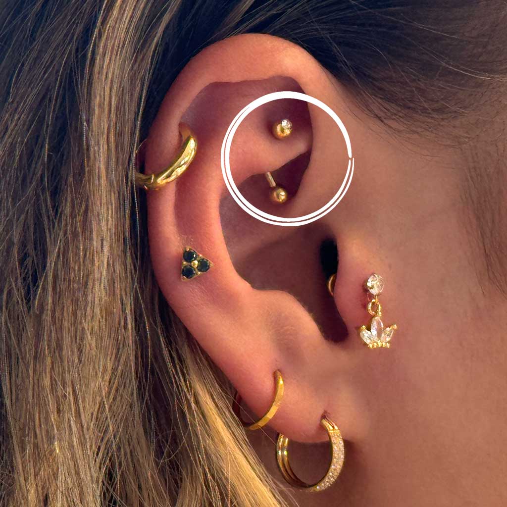 The Basic Barbell | Gold - Piercd