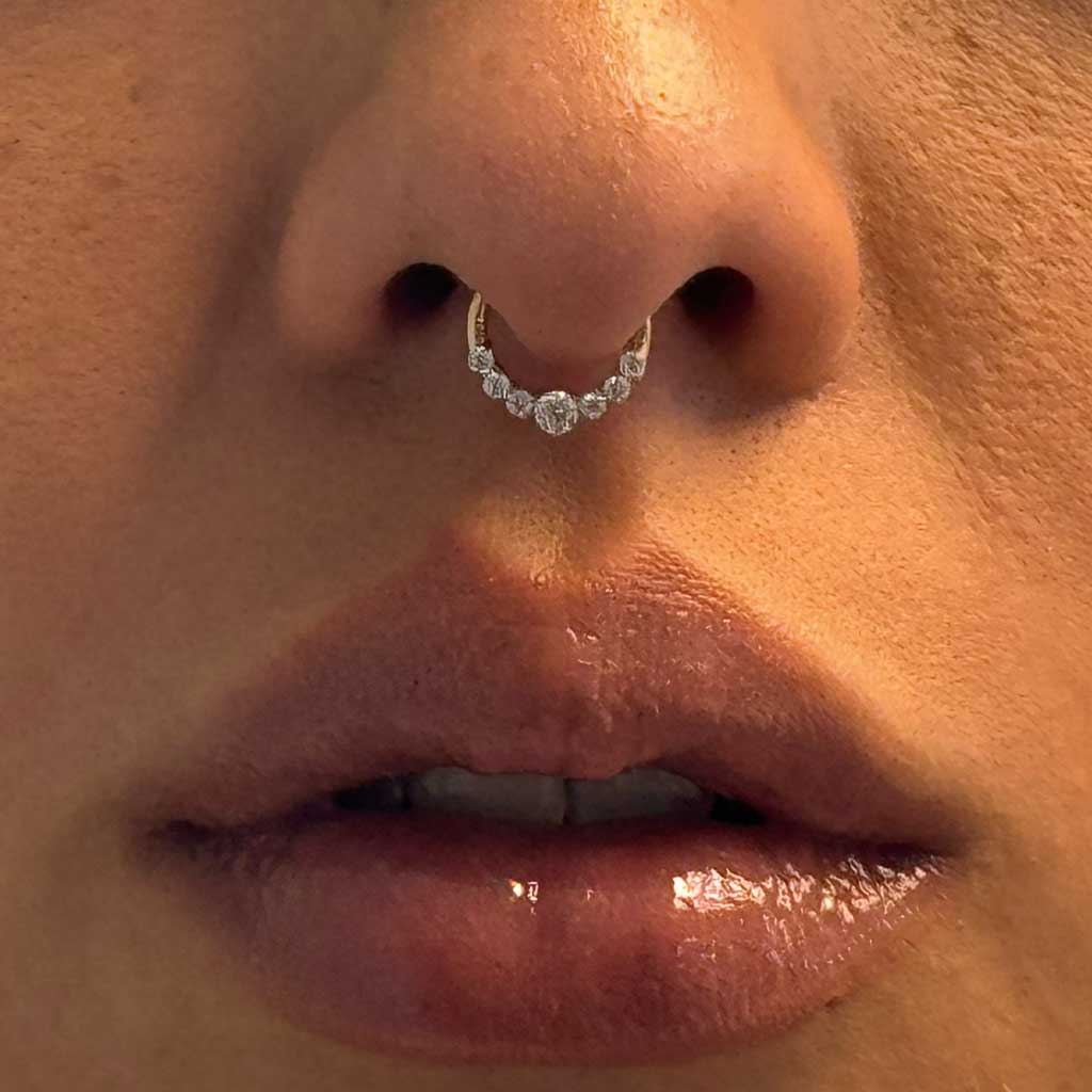 The Segment Crystal Piercing | Gold | Silber - Piercd