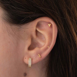 Aloalo Ohrpiercing | Gold - Piercd